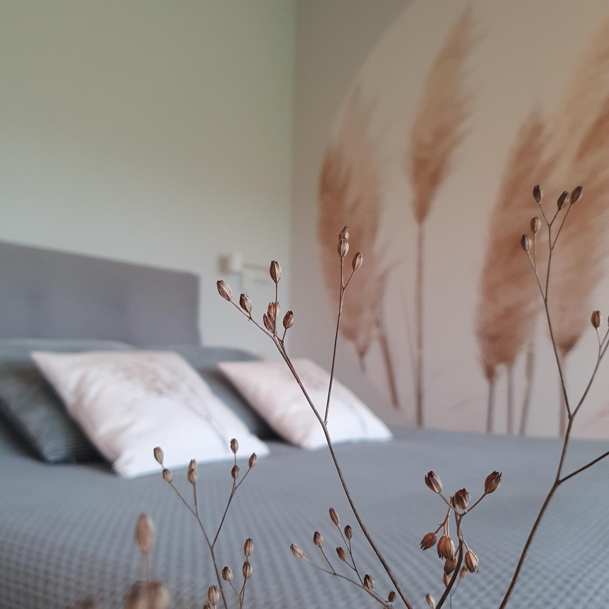 De Buorkerij Bed and Breakfast Tytsjerk Eksteriør billede