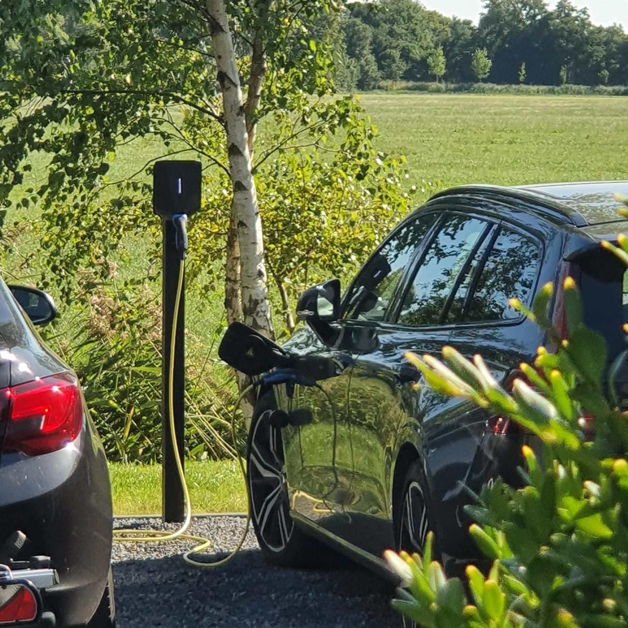 De Buorkerij Bed and Breakfast Tytsjerk Eksteriør billede